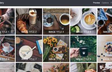 jquery grid plugin