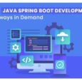 java spring boot development